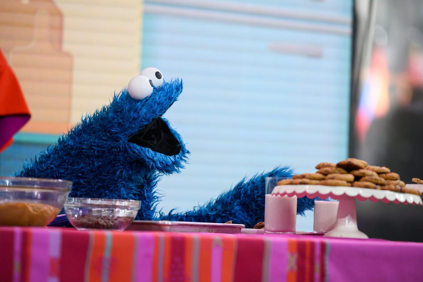Photo of Cookie Monster