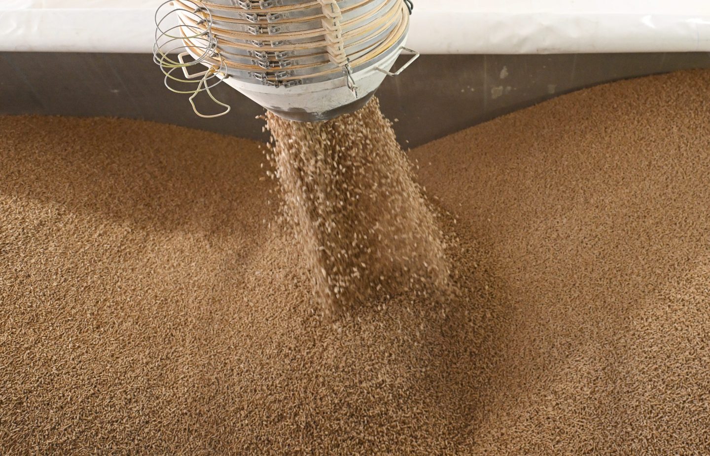 Wood pellets
