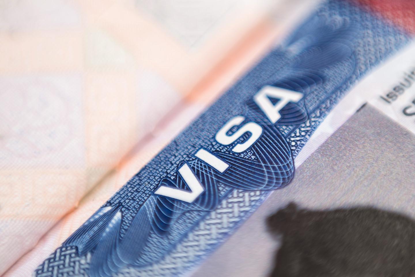 Capping H-1B visas at 85,000 could cripple U.S. growth in tech like AI, an expert says: ‘We are actively shooting our future selves in the foot’