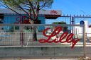 FDA will take a deeper look into the safety and effectiveness of Lilly experimental Alzheimer’s drug