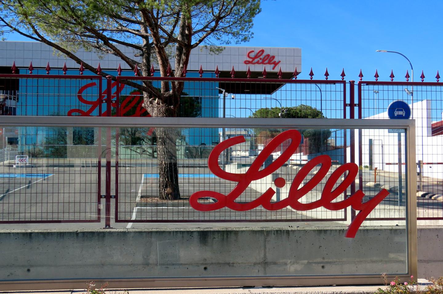 FDA will take a deeper look into the safety and effectiveness of Lilly experimental Alzheimer’s drug