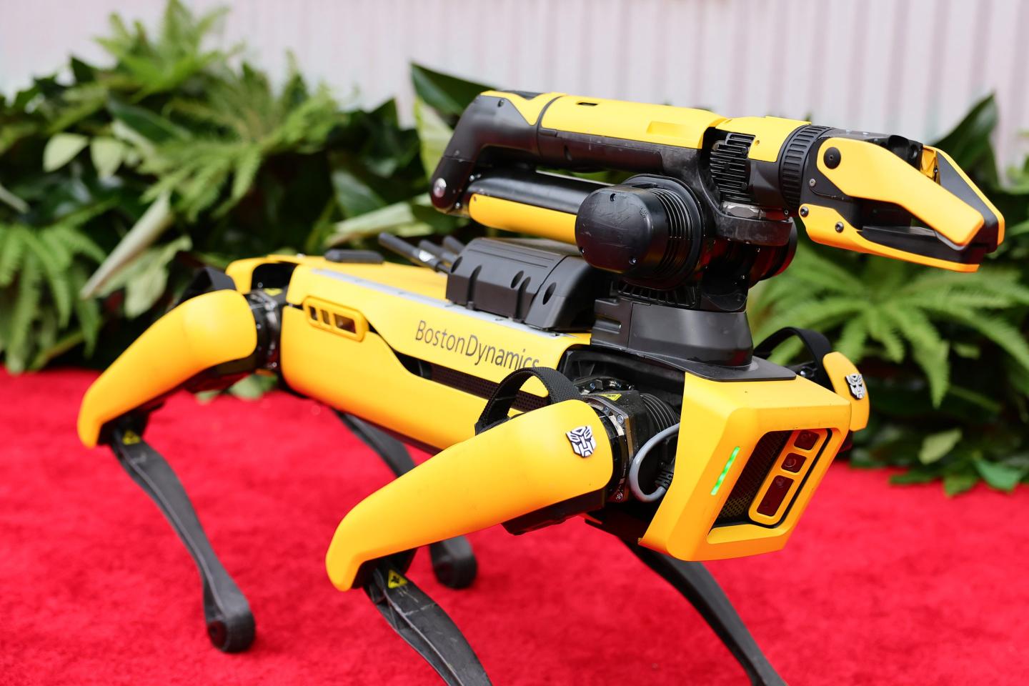 Robot dog company celebrates its first shooting: ‘We are relieved that the only casualty that day was our robot’
