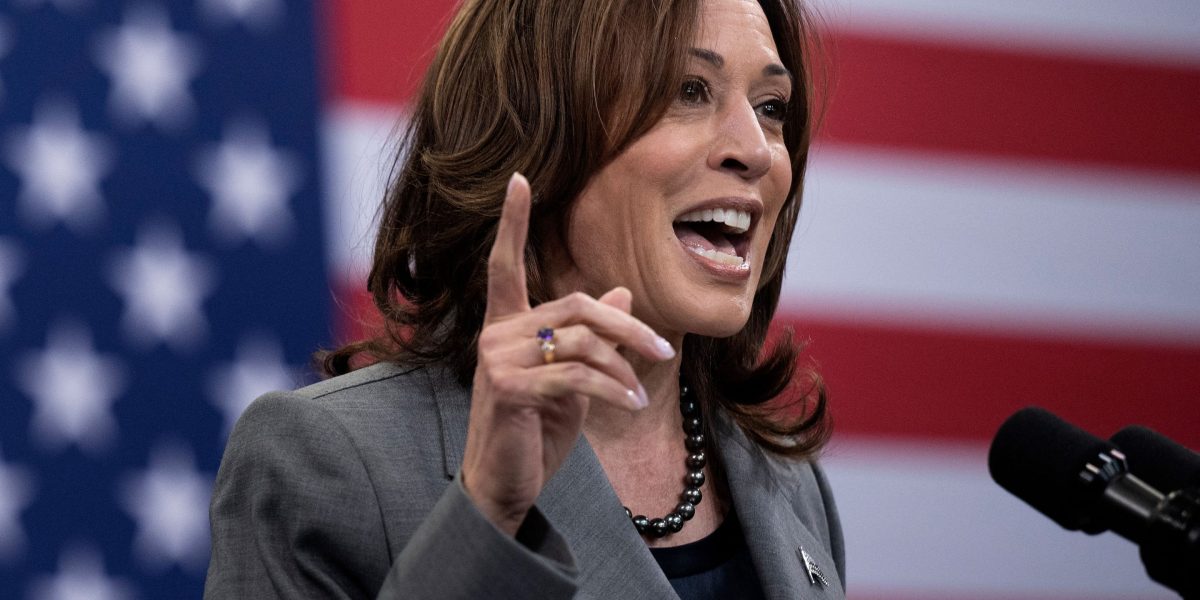 Kamala Harris: U.S. agencies must show their AI tools aren't harming