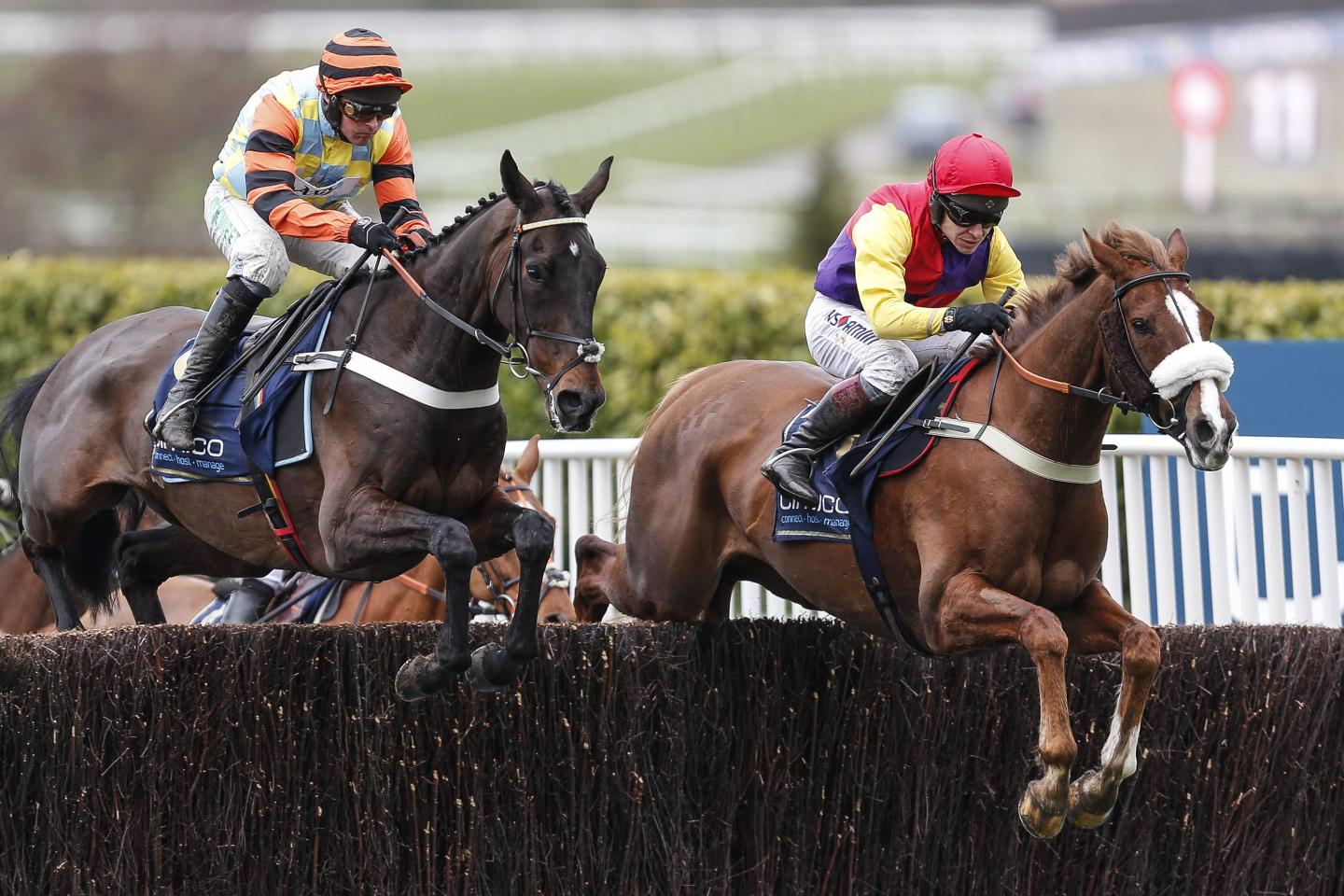 Brexit red tape interferes with the transportation of racehorses to England for this week’s Cheltenham Festival