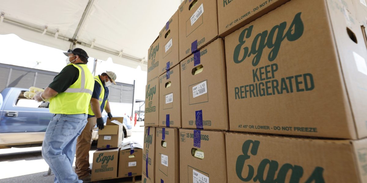 America&rsquo;s largest egg producer kills 1.6 million chickens, halts production in Texas after finding bird flu