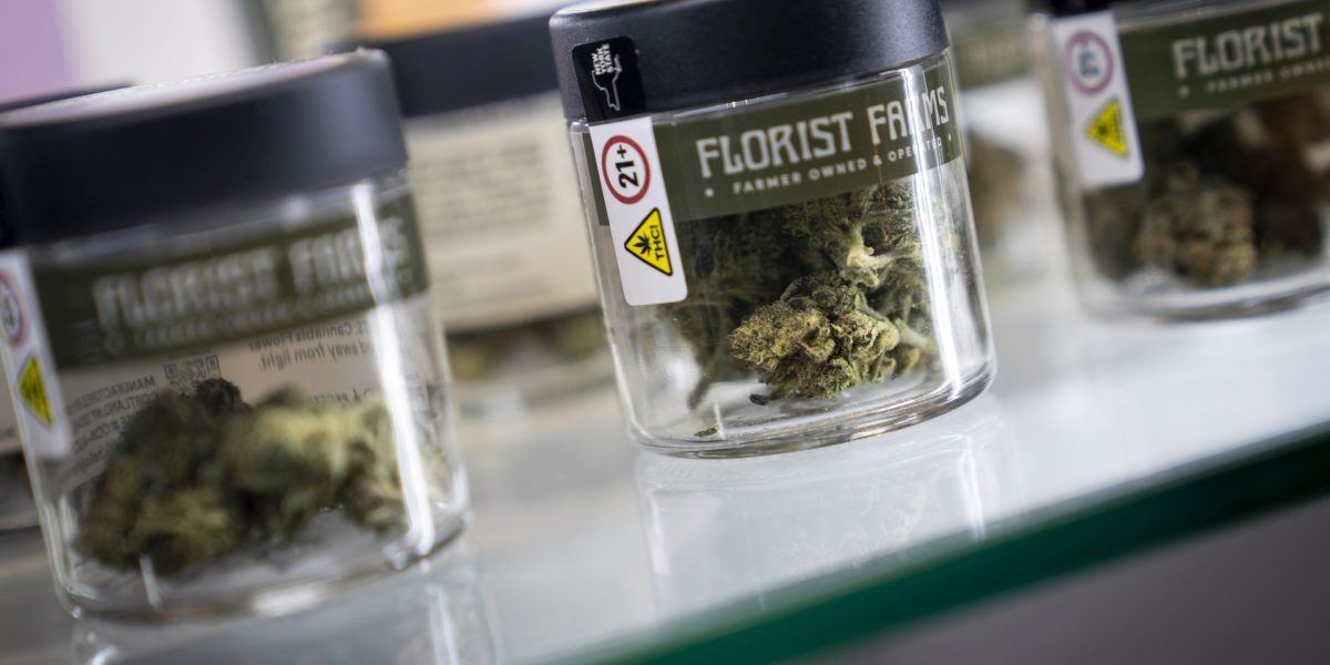 New York judge rules state weed rules broadly unconstitutional, then says it was a mistake