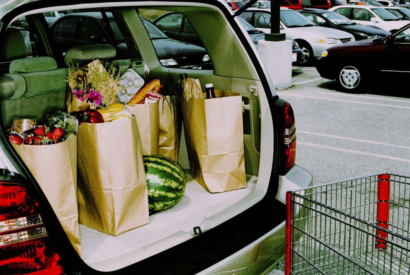 Shopping cart