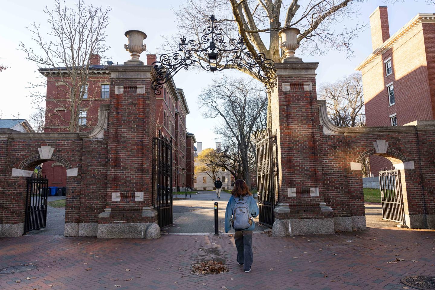 Harvard becomes latest Ivy League school to backtrack on SAT admissions requirement