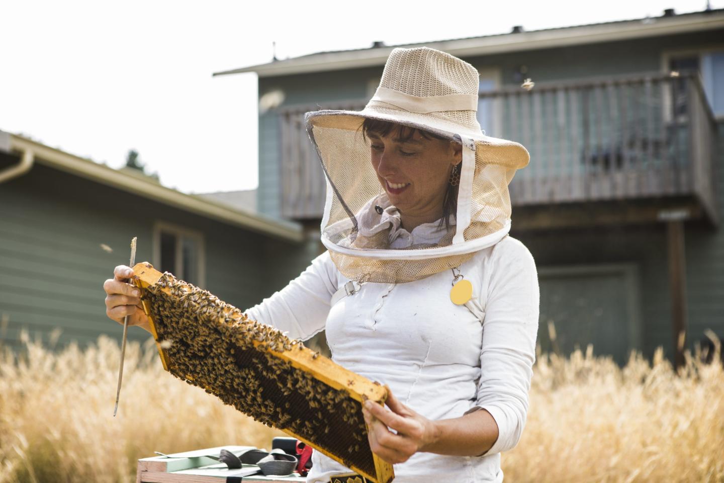 Some states offer beekeepers tax breaks for raising and caring for the pollinators.