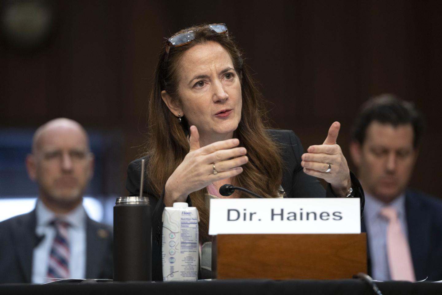 Senators grill top U.S. intelligence officials about how they’ll stop AI-armed adversaries from influencing the 2024 election