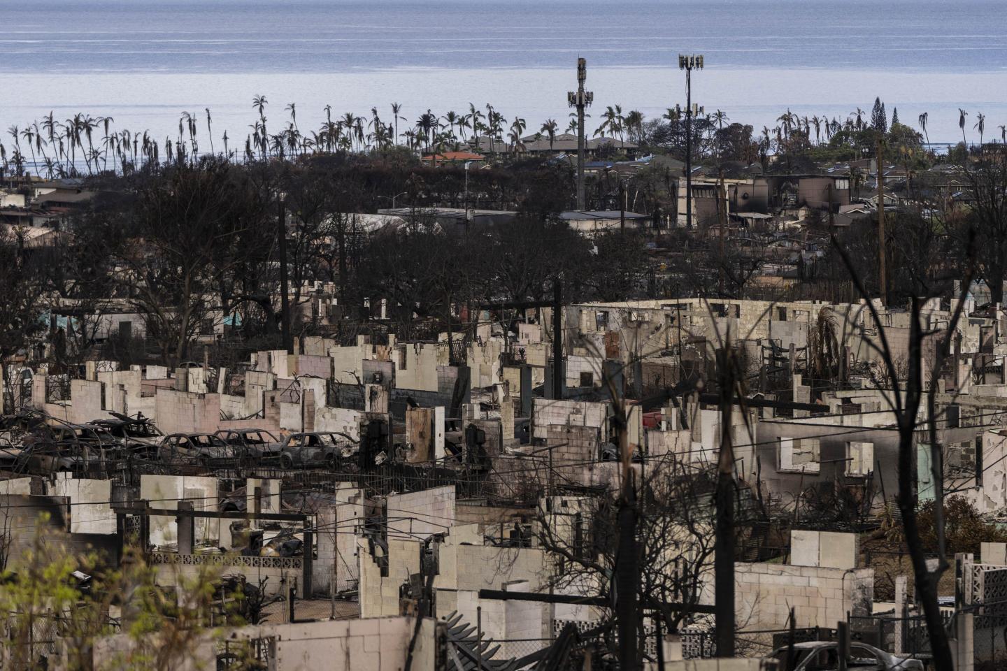 Maui is suing cell carriers because its Lahaina wildfire warning alerts were never received and it says the companies didn’t warn that service was out