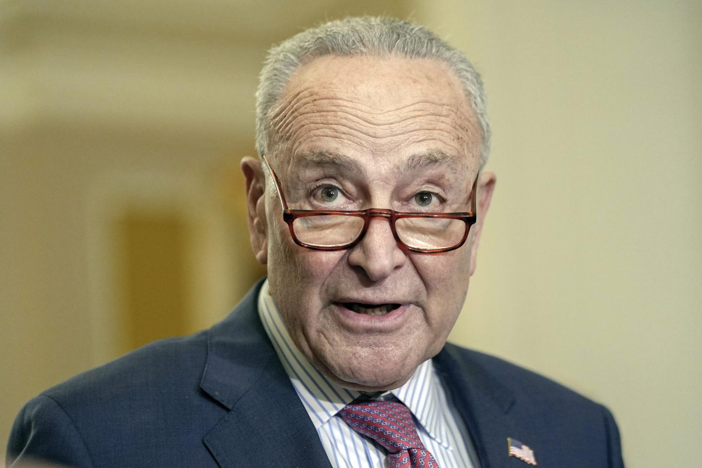 Chuck Schumer speaks