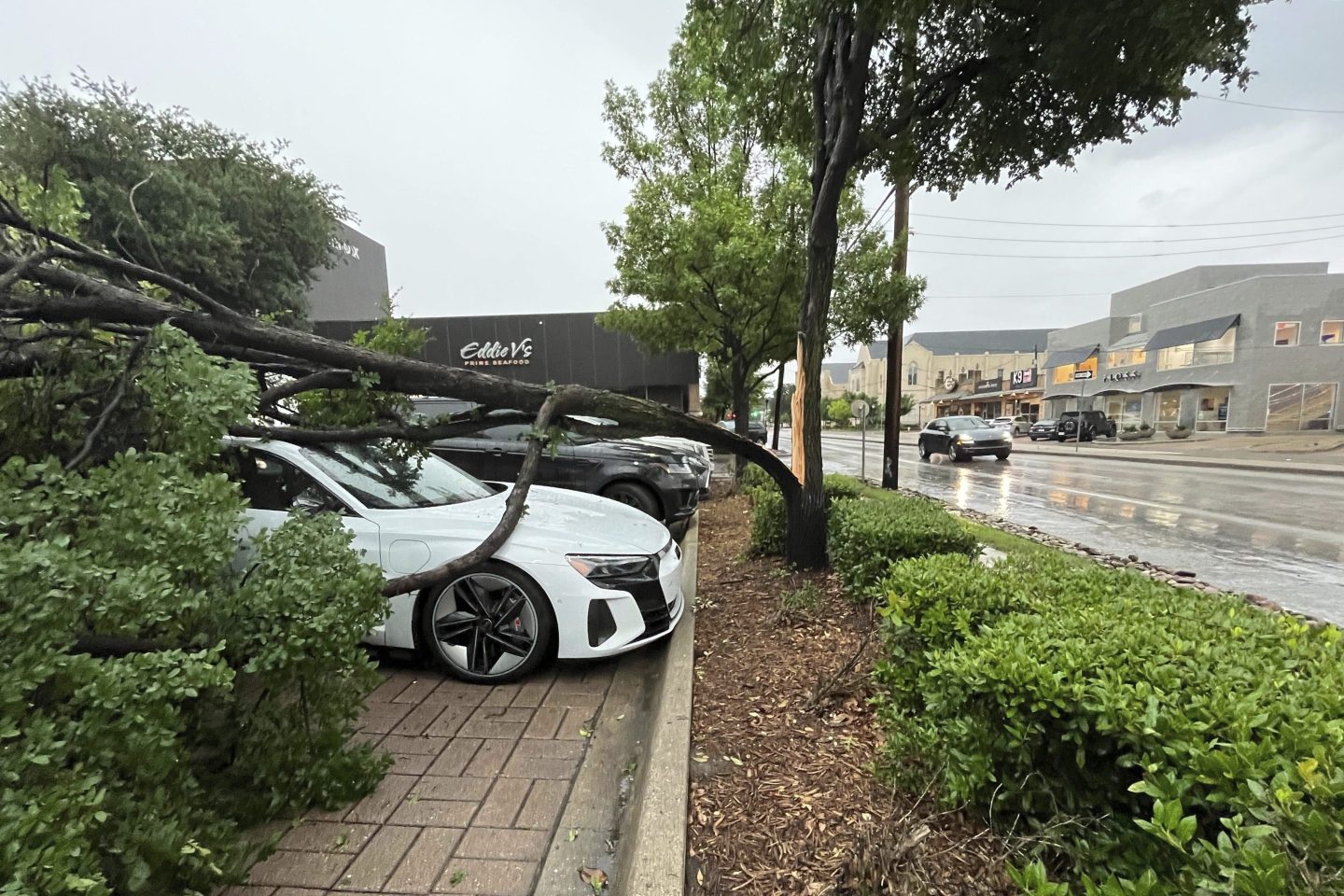 A split tree lays on a vehicle outside an Equinox gym on May 28, 2024, in Dallas.