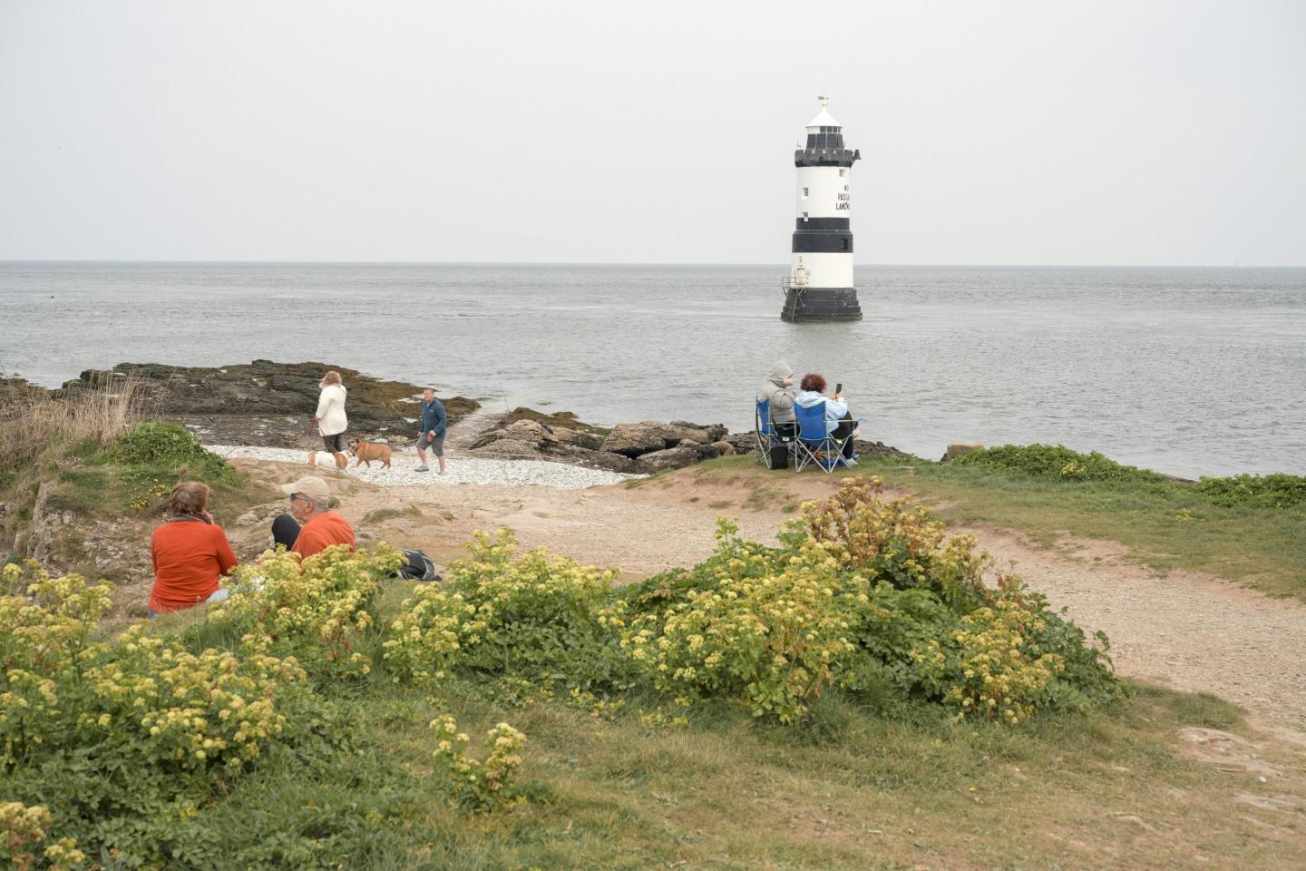 Visitors by the seaside, with shrubs in the foreground and a lighthouse in the distance