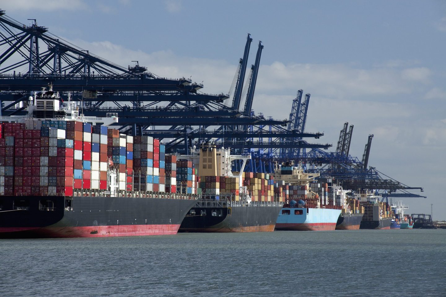 Container ships and gantry cranes