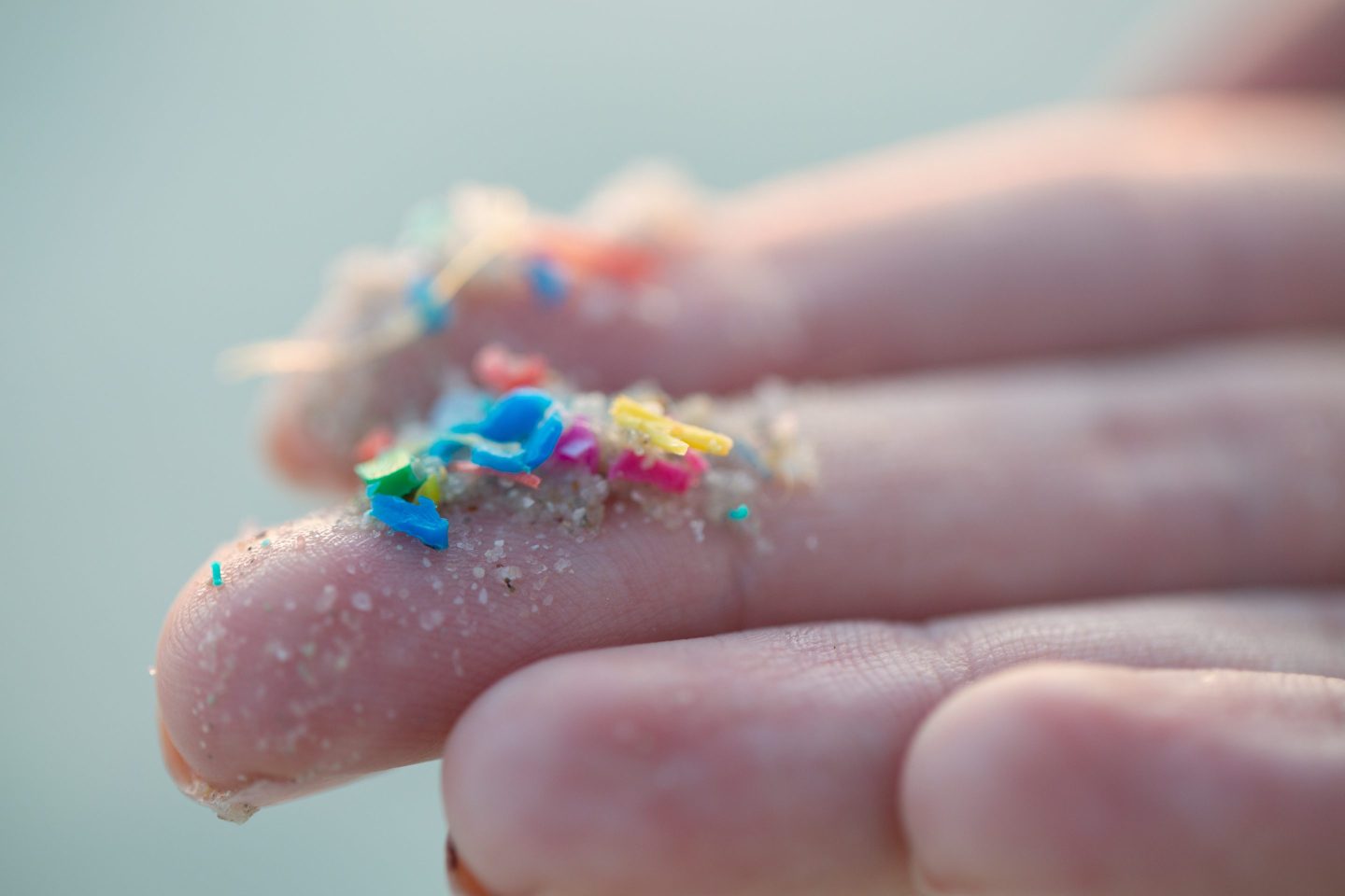 A close-up of pieces of plastic that had been washed up on a beach