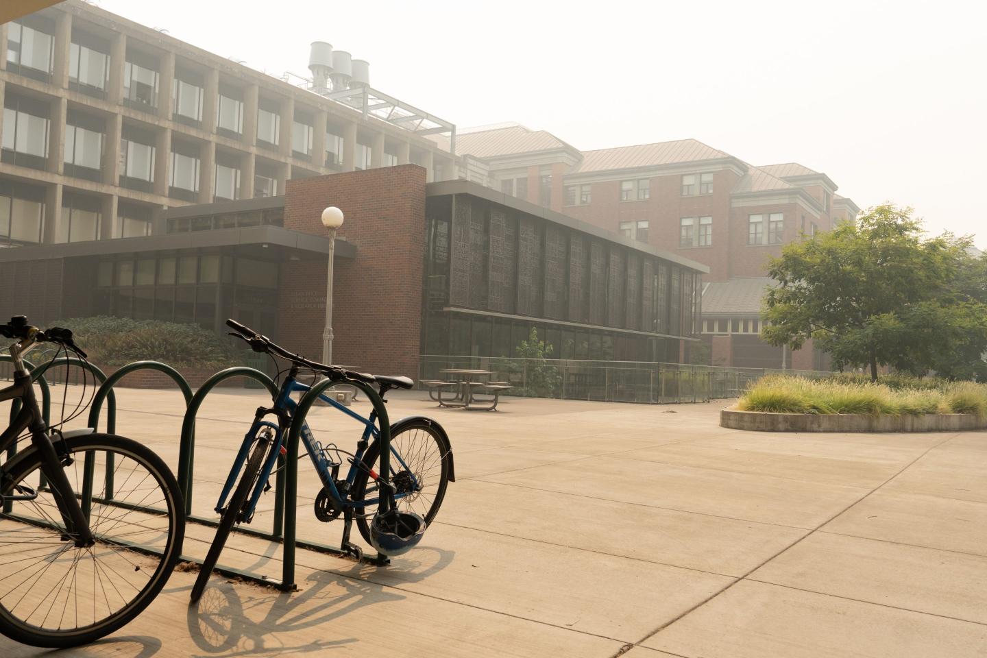Amid a crisis of public college enrollment, tuition money sees biggest plunge in 40 years