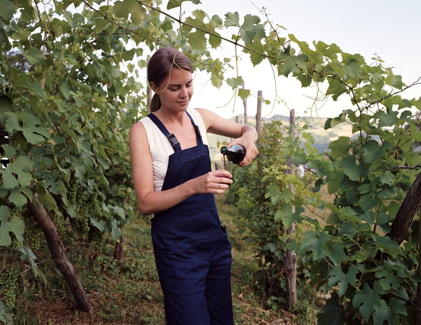 Vintners in Willamette Valley—home to world-class Pinot Noirs—seek $100 million after fires tainted their grape harvest