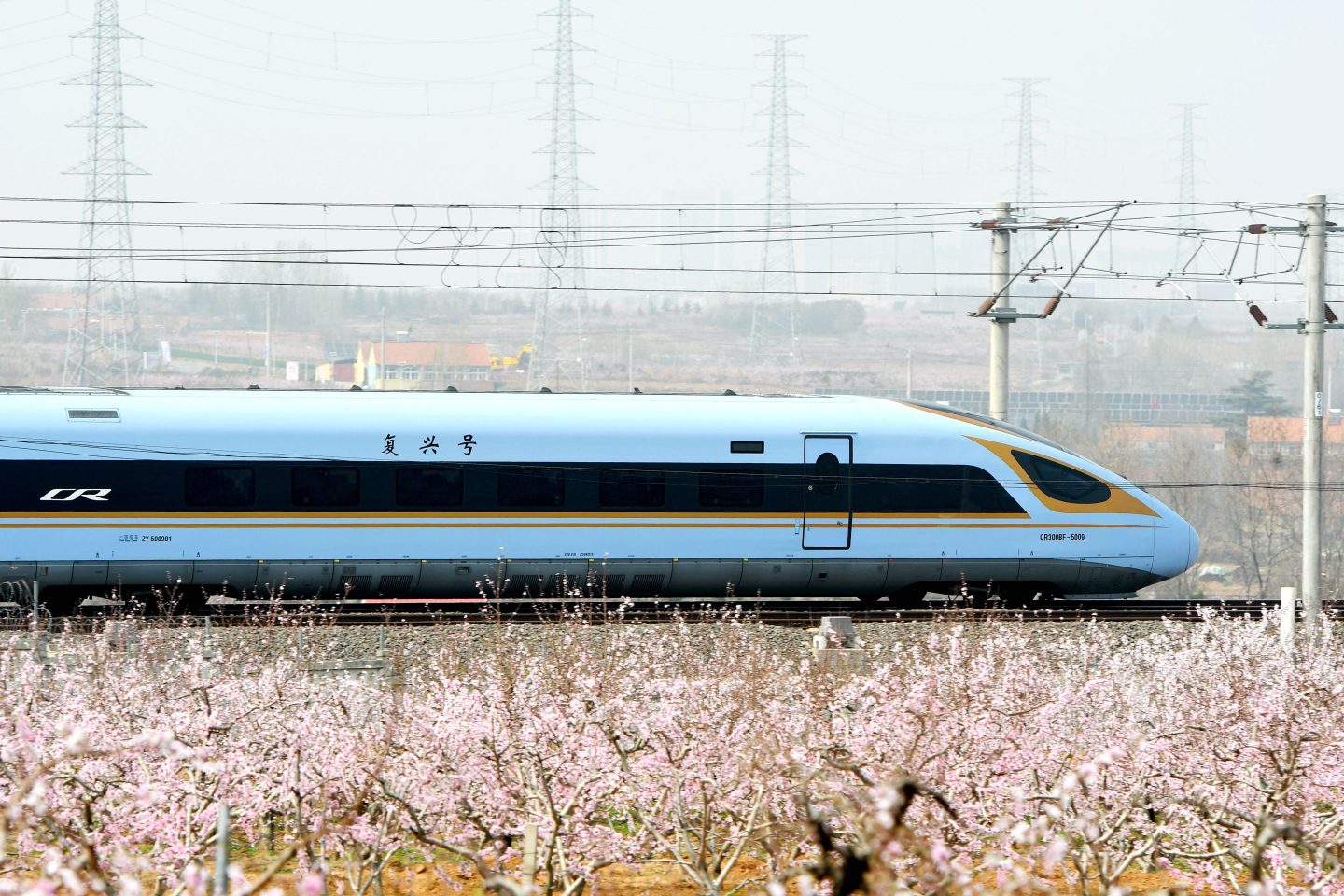 A bullet train passes through peach blossoms in full bloom in Shandong province, China.