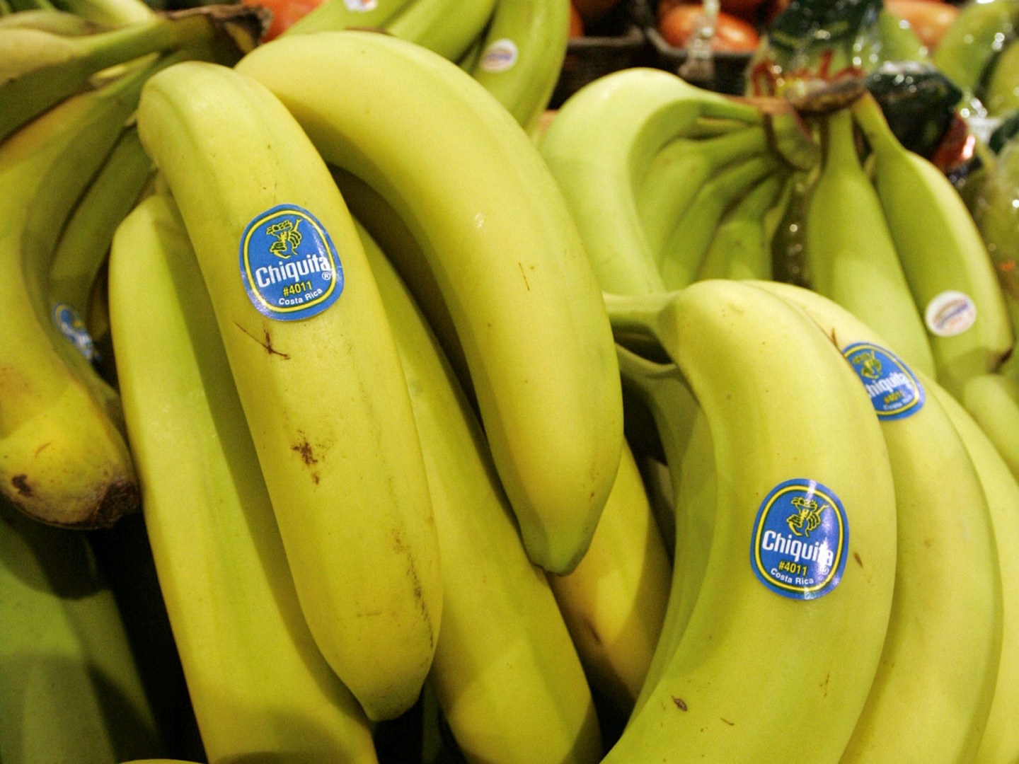 Piles of Chiquita bananas on display at the Heinen's grocery store in Bainbridge, Ohio.