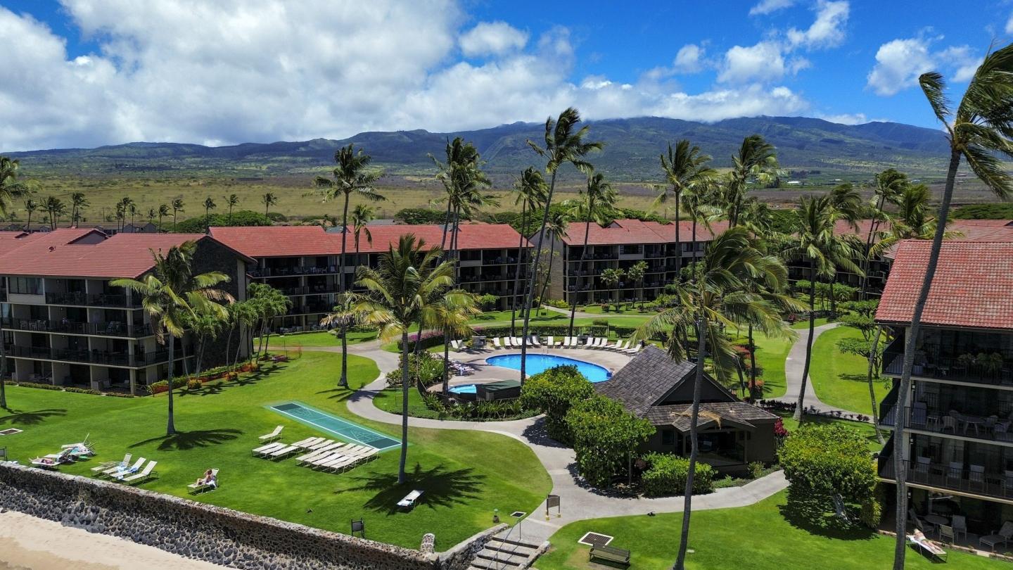 Maui mayor wants to restrict vacation rentals as locals suffer chronic housing shortage made worse by Lahaina fire—but economist sees ‘economic crash and burn’