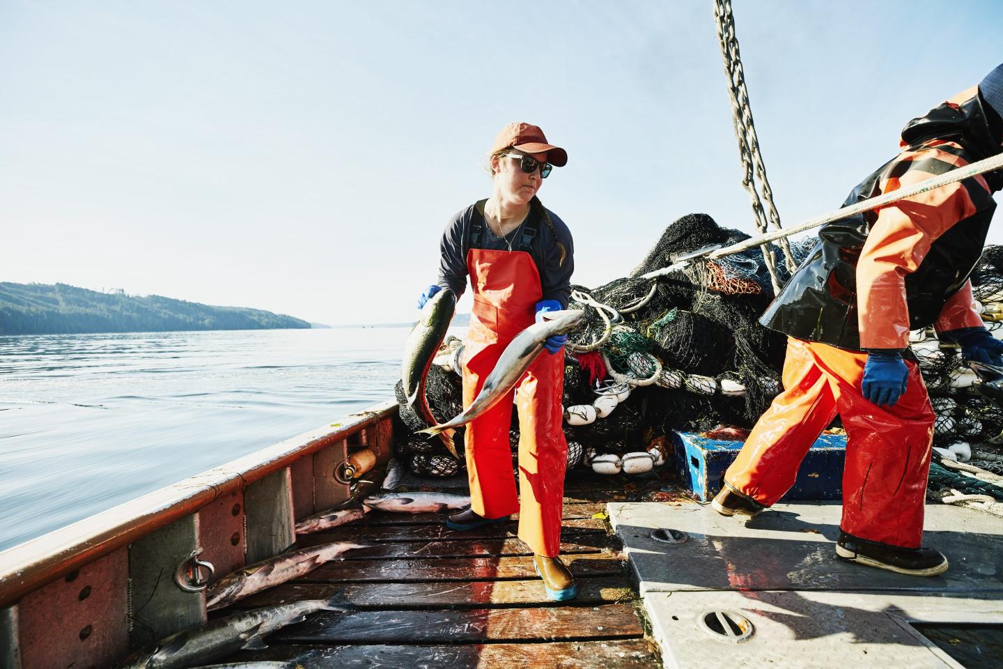 Tides turn for seafood—more fish were farm-raised than caught in the wild for the first time ever