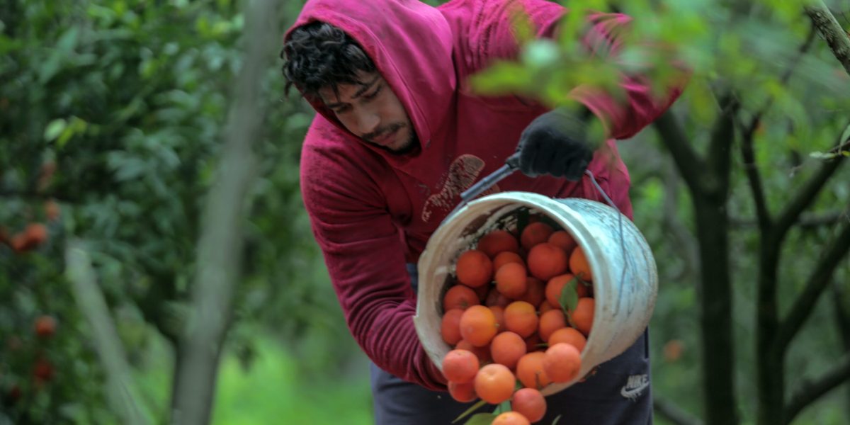 Is breakfast endangered? Disease and extreme weather are jacking up coffee and orange juice prices—and consumers are getting squeezed Is breakfast endangered? Disease and extreme weather are jacking up coffee and orange juice prices—and consumers are getting squeezed