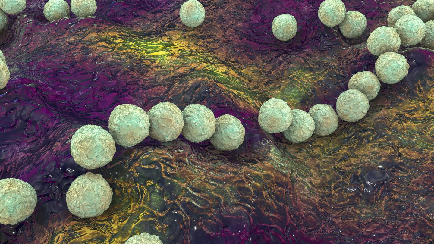 computer illustration of bacteria