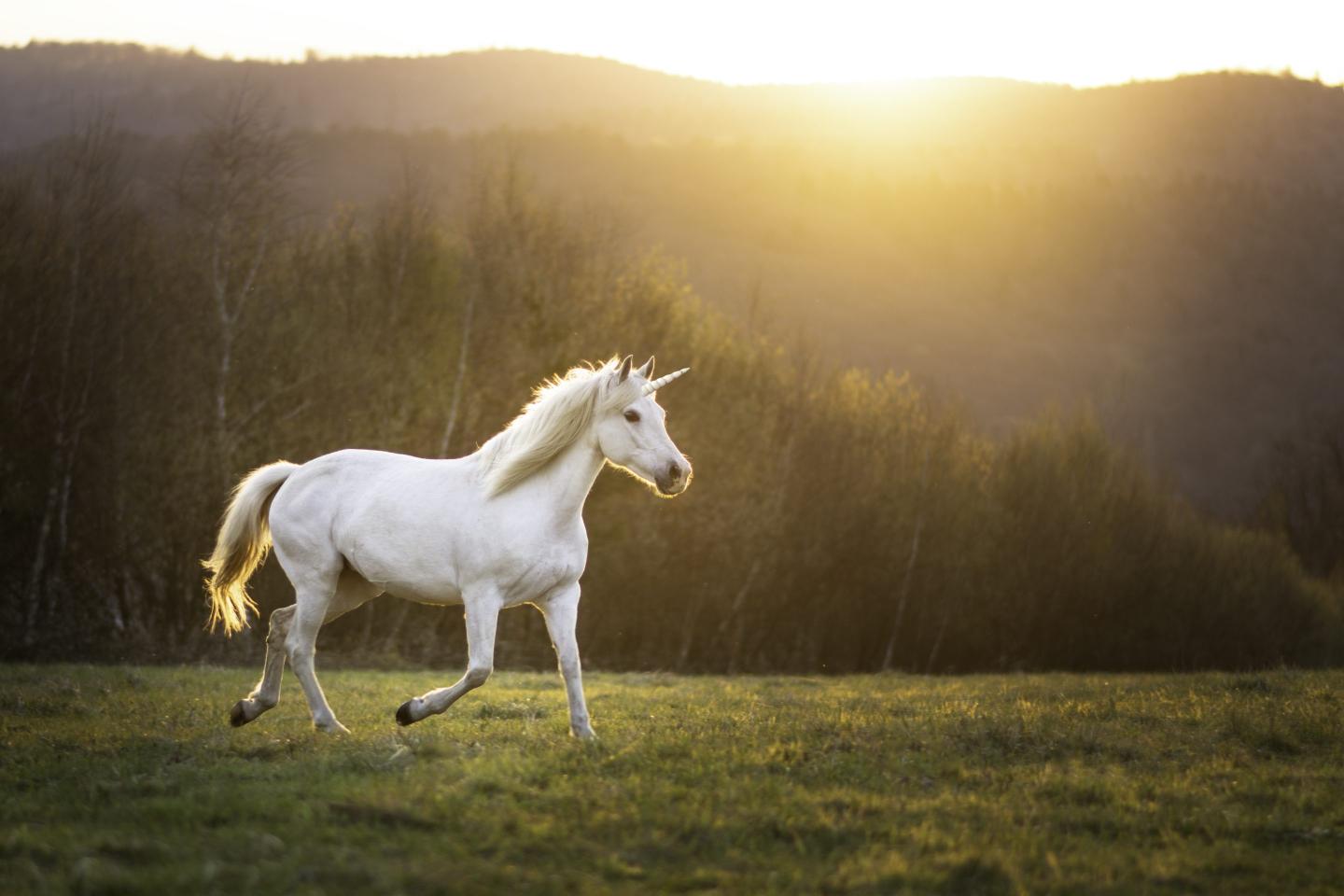 unicorn running on grass