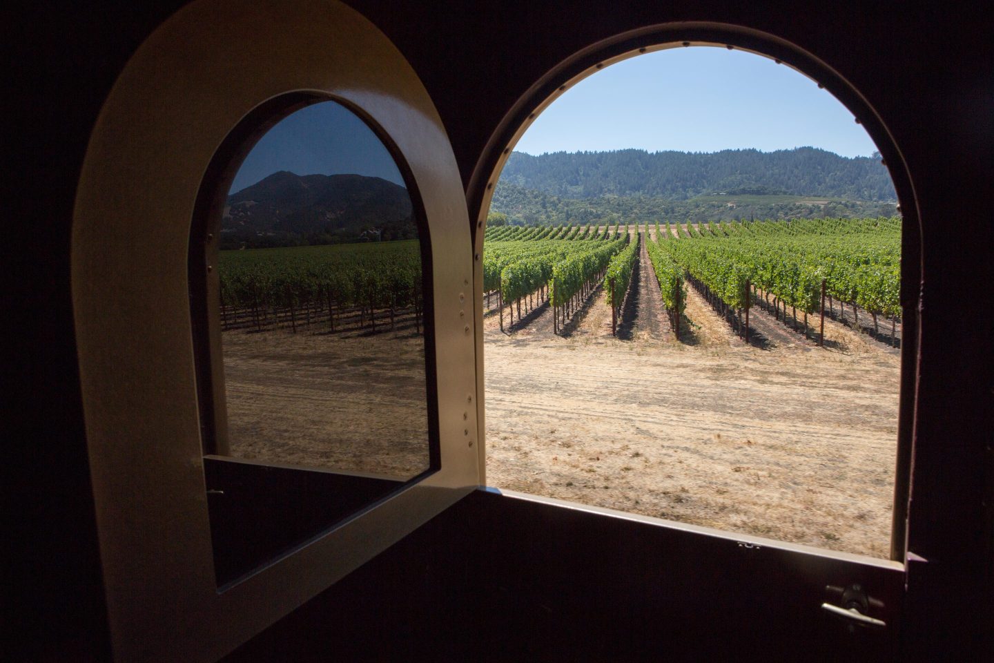 Rows of grapes seen through a train window in Nappa Valley