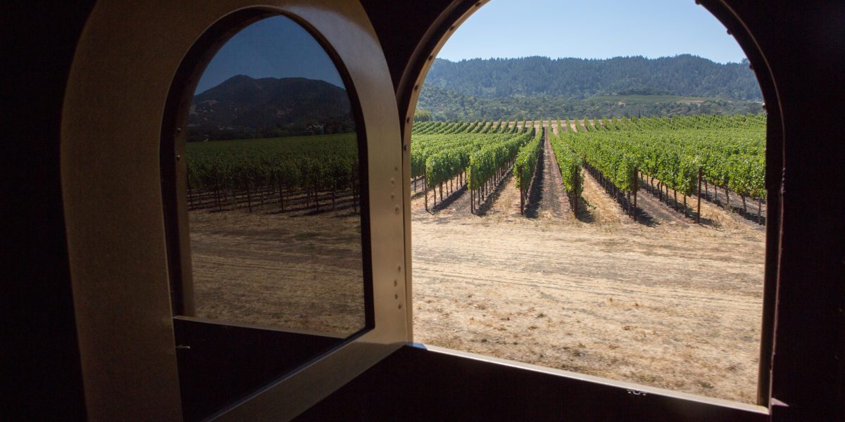 Napa Valley winemakers are teaching Ukrainian workers a special method to grow grapes on land riddled with mines Napa Valley winemakers are teaching Ukrainian workers a special method to grow grapes on land riddled with mines