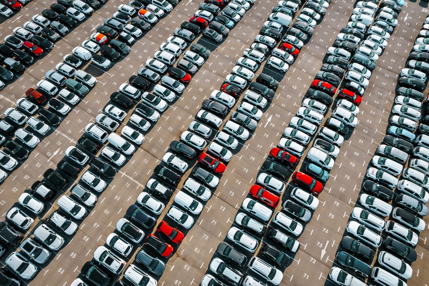 rows of cars at dealership