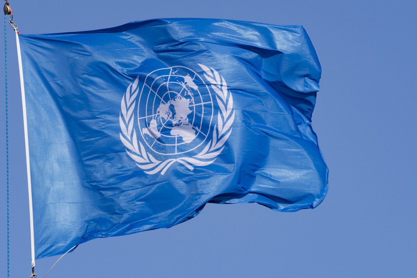 United Nations flag flying in the wind.