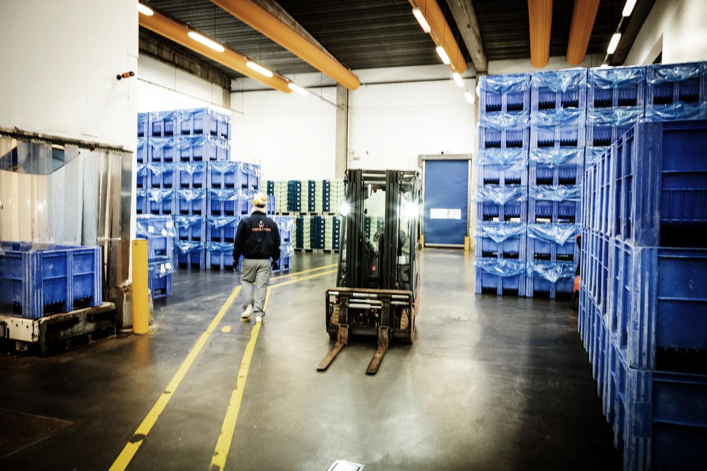 The threat of a Europe-China trade war looms as Beijing launches an antidumping probe on pork