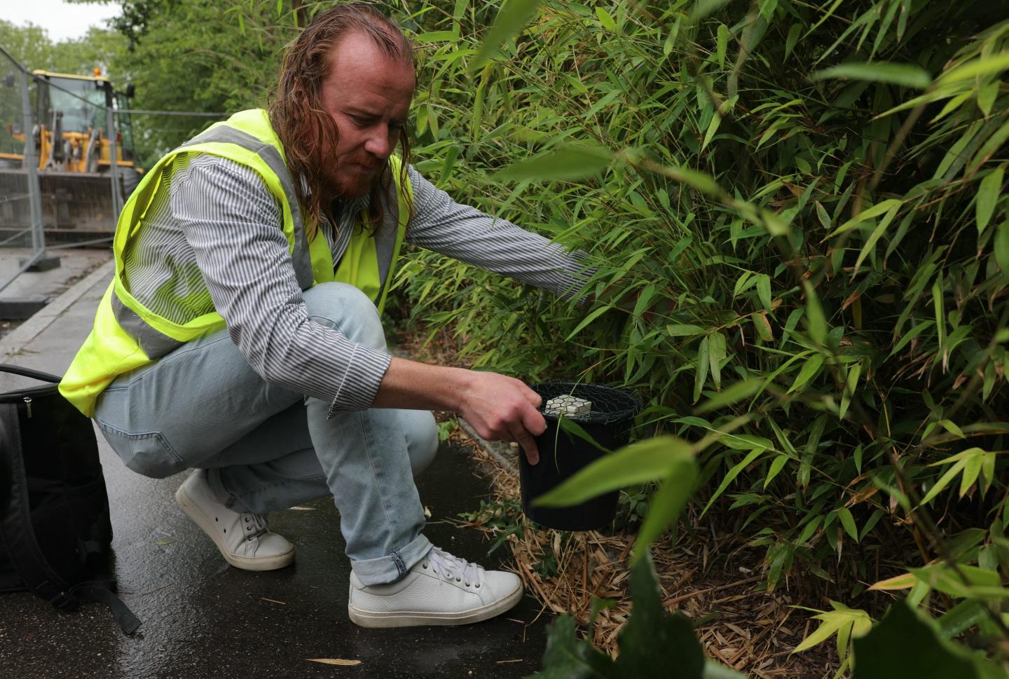 person seen laying a mosquito trap at the side of a road