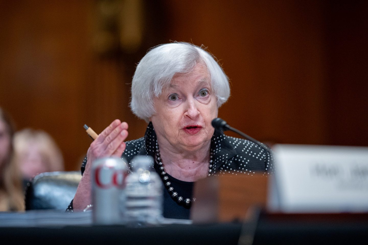 Treasury Secretary Janet Yellen speaks during a Senate Appropriations Subcommittee on Financial Services and General Government hearing on Capitol Hill on June 4, 2024 in Washington, D.C.