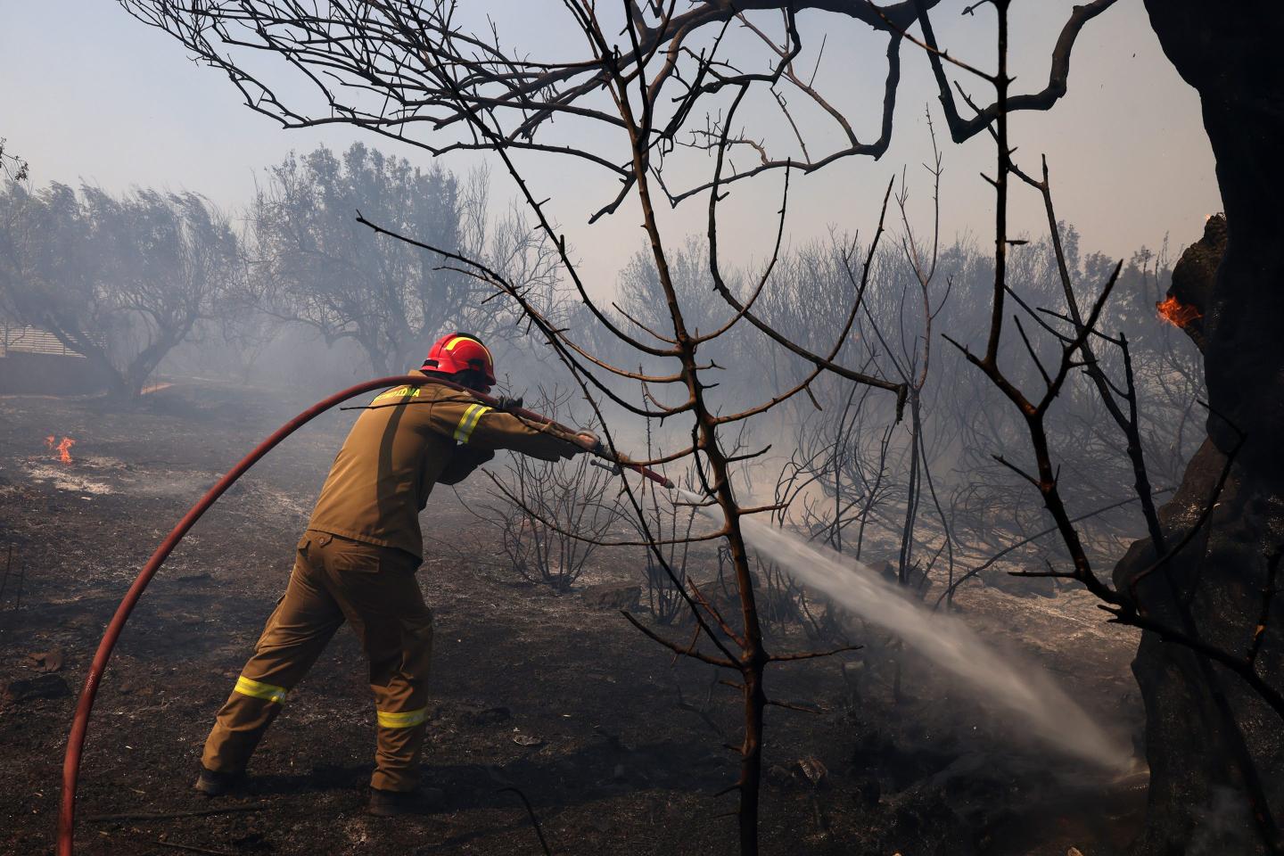 Firefighters extinguish a wildfire, in Kitsi, near the town of Koropi, Greece, on June 19, 2024.