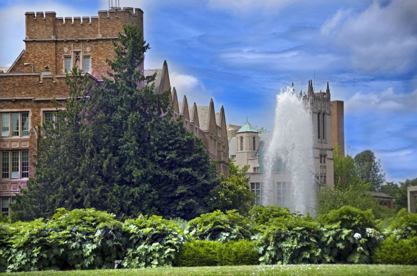 14. University of Washington (Foster)