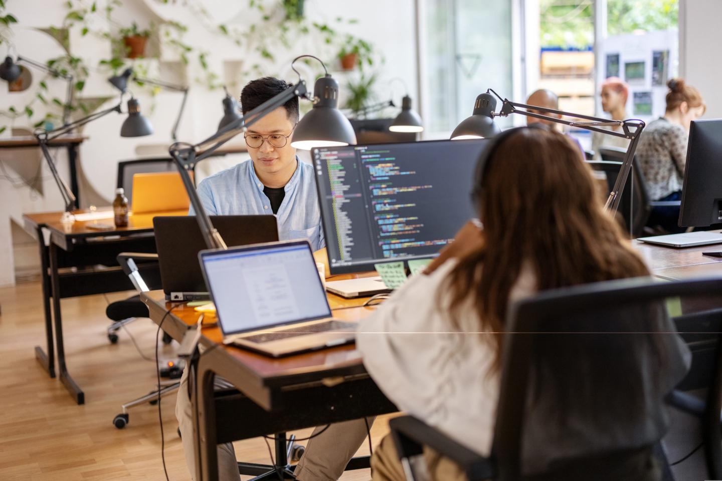 Computer programmers working at a startup company.