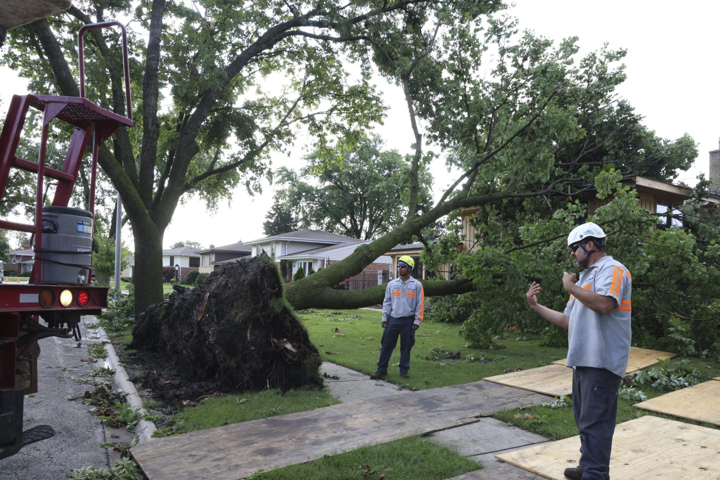 Workers clear an uprooted tree from a lawn in Norridge, Ill., on July 16, 2024.