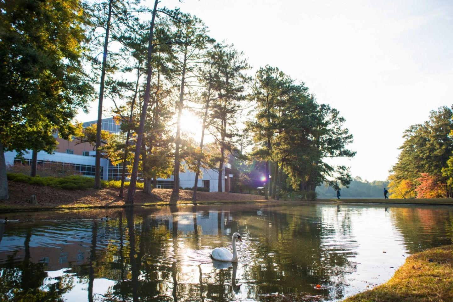 24. Clayton State University