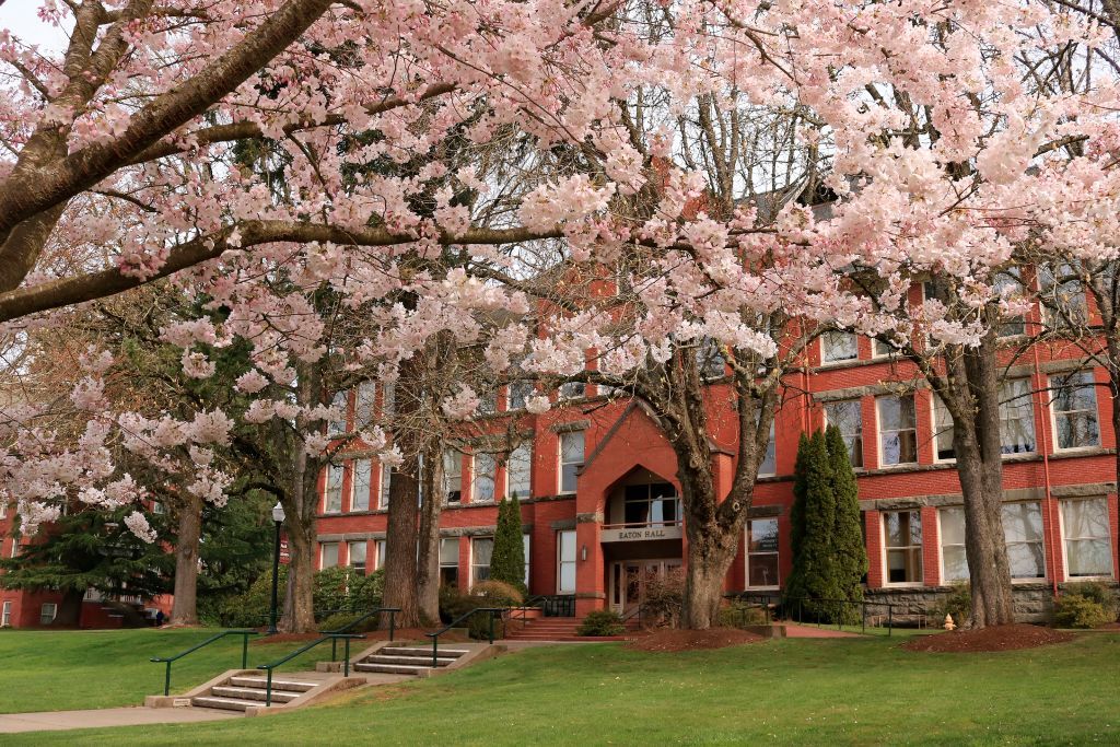 14. Willamette University