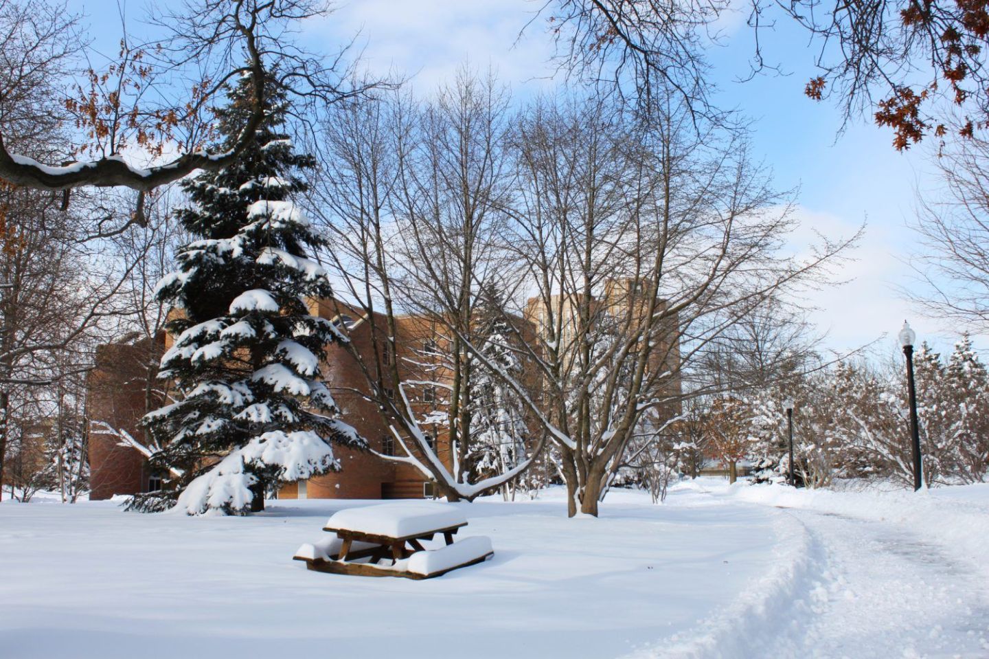 26. Kent State University
