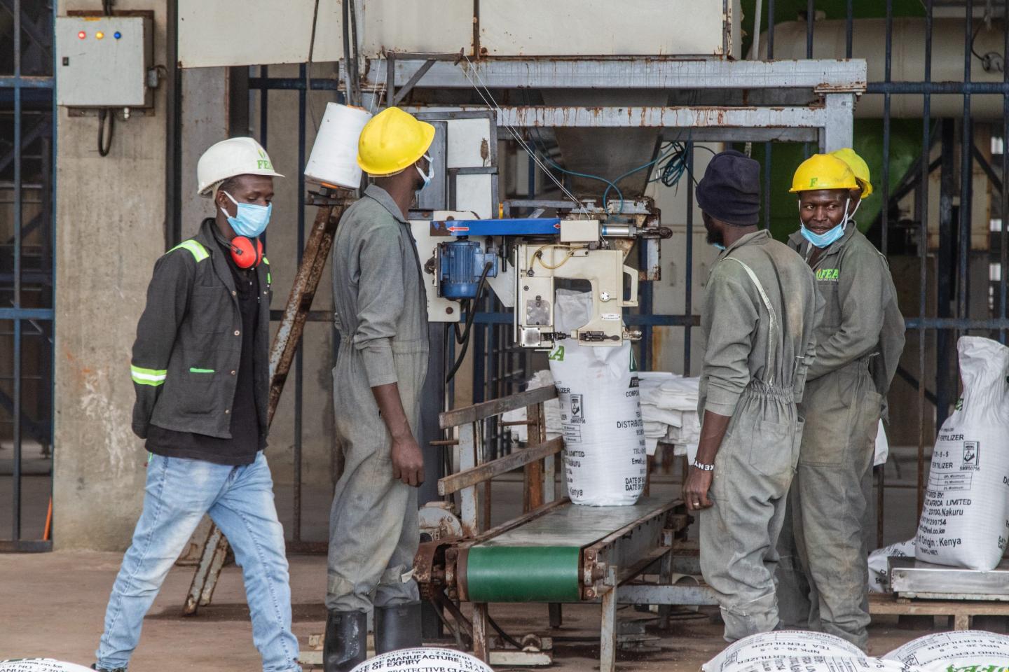 Kenya launched a fertilizer subsidy in 2008 and now farmers say the soil is dying and chemical fertilizers that make the land acidic are to blame