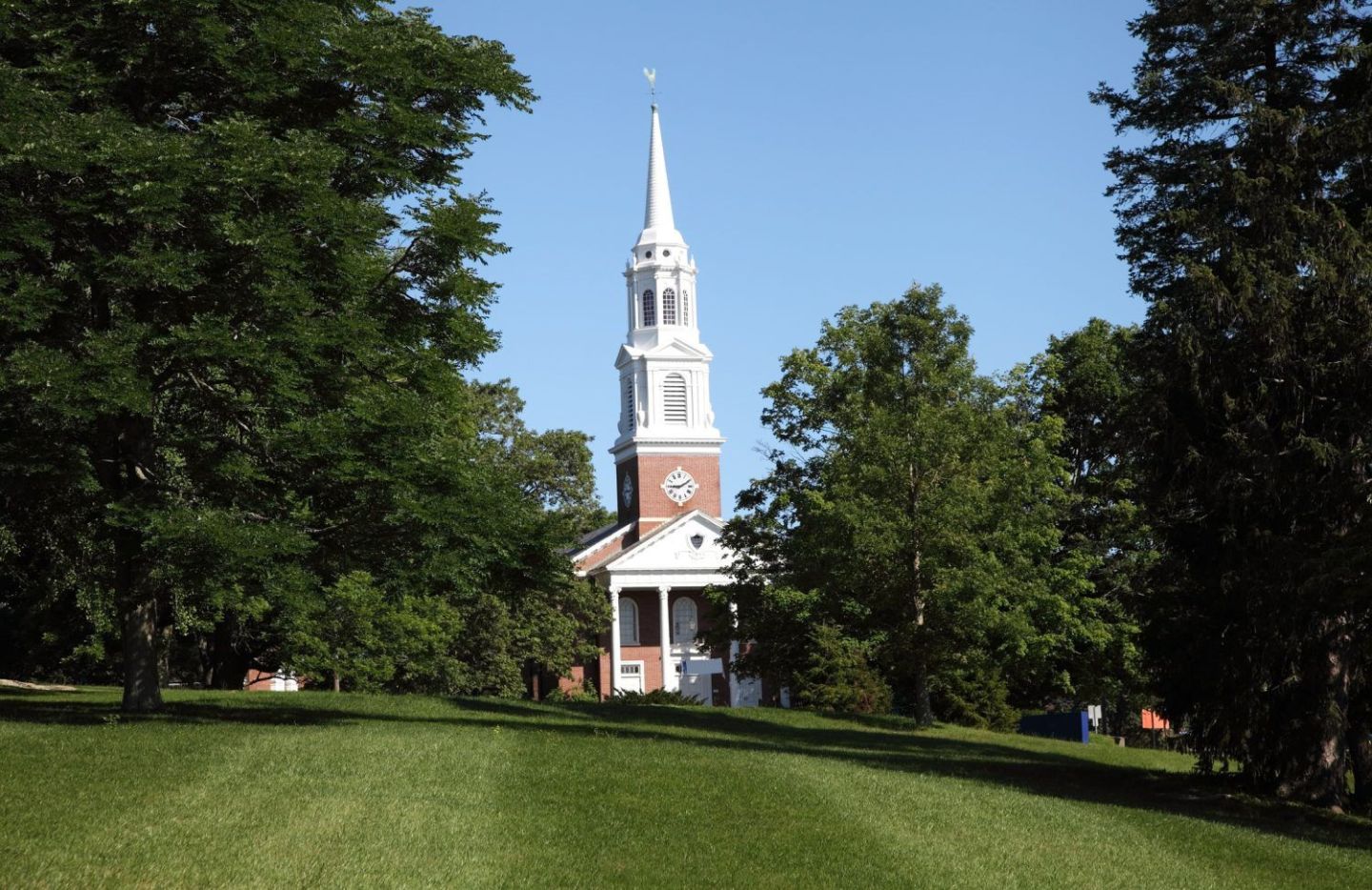 8. University of Connecticut