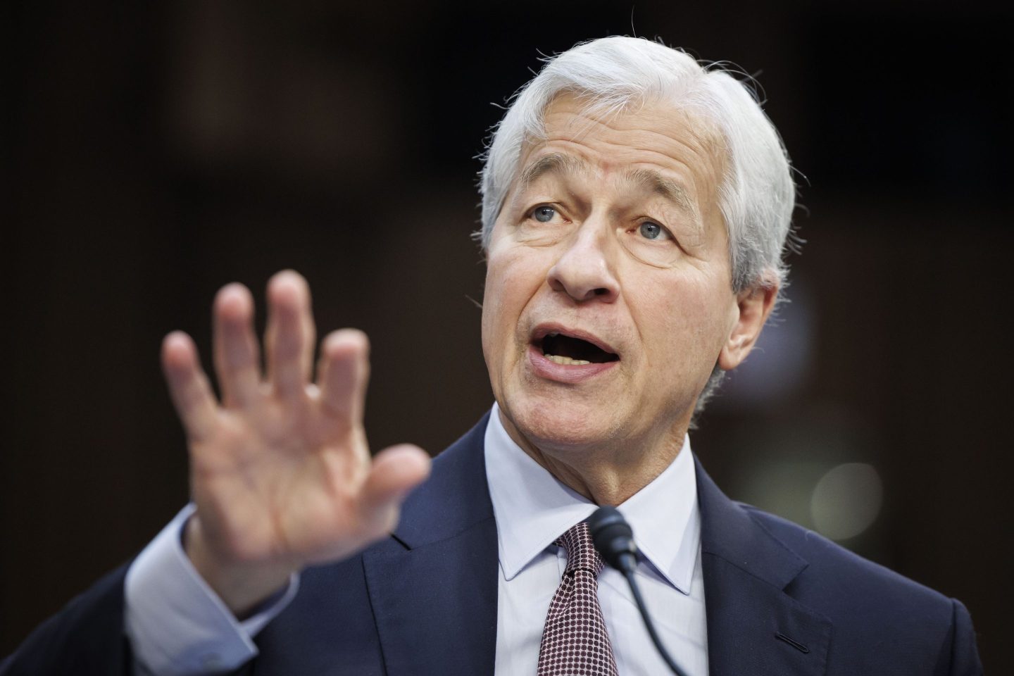 Donald Trump and Jamie Dimon are seem to be getting chummy, for now.