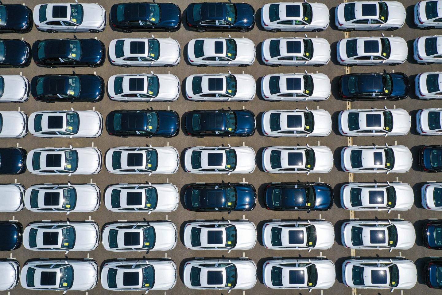 A grid of BMW cars in a lot