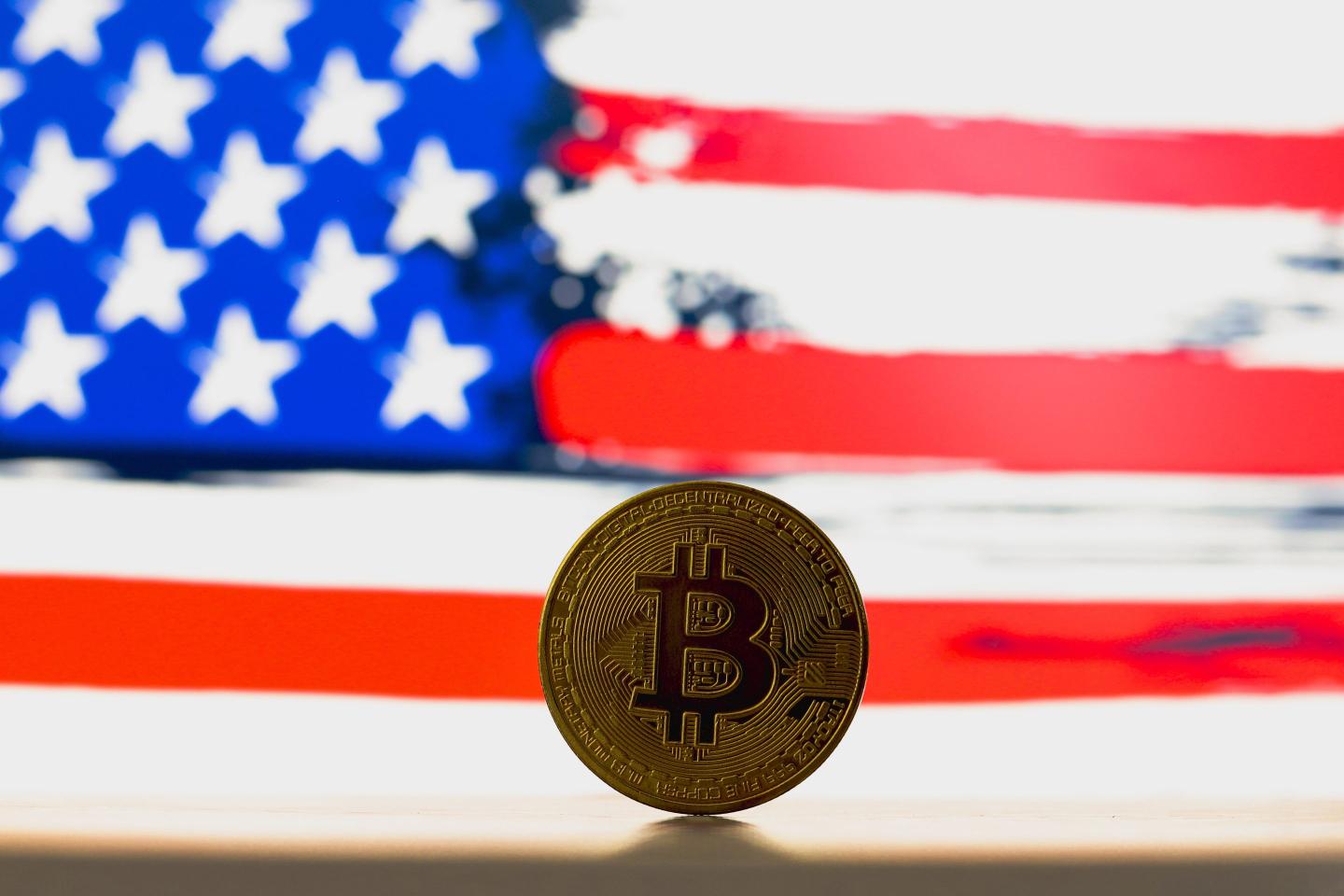 Bitcoin soars 9% as Trump’s electoral odds rise, MAGA tokens and NFTs gain too