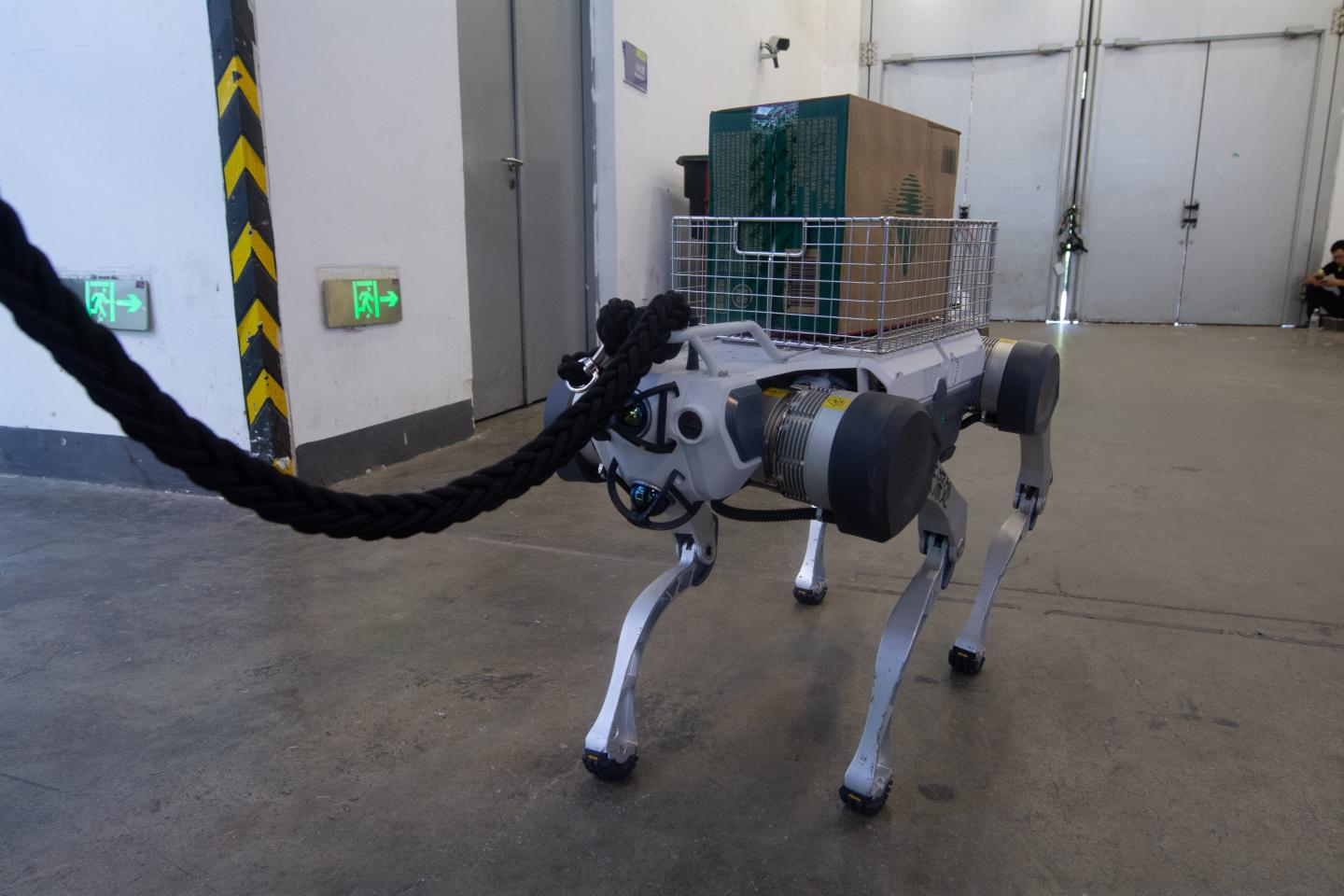 Department of Homeland Security to use robot dogs in raids