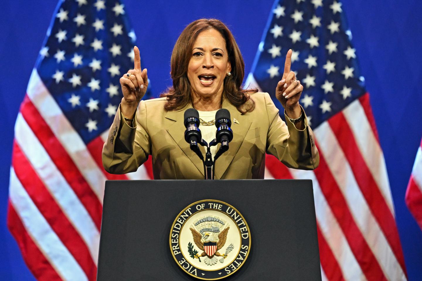 What Fortune 500 CEOs could expect from a Kamala Harris administration